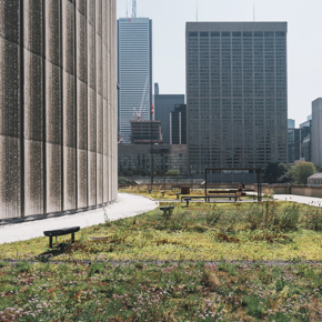 Sustainability