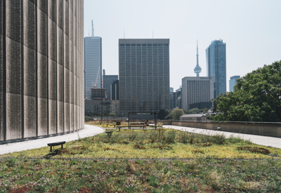 Sustainability